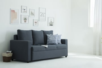 sofa5